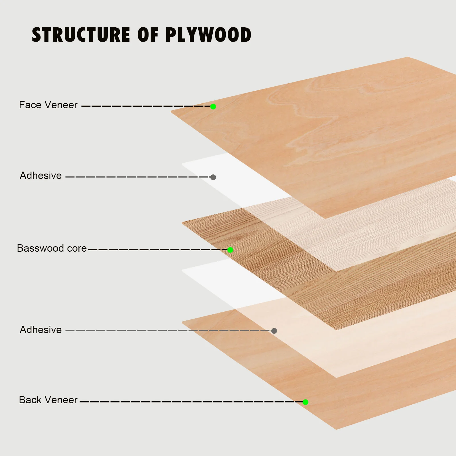 Monport Selected Basswood Plywood for Laser Engravers and Cutters DIY Crafting - Image 3